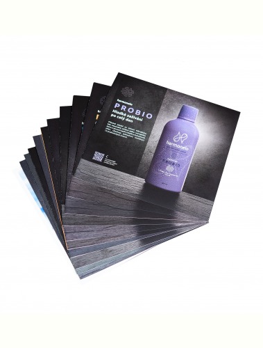 EN Flyers MIX 13 pcs: (English)